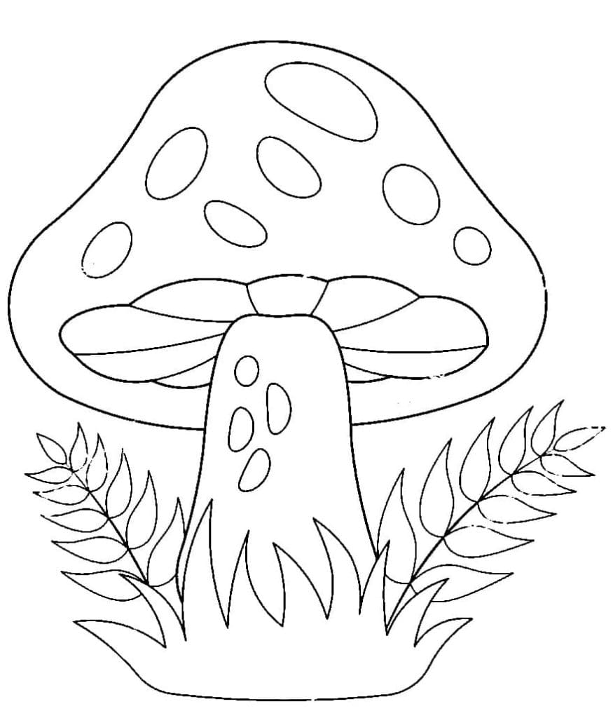Raskrasil.com-Coloring-Pages-Mushrooms-80