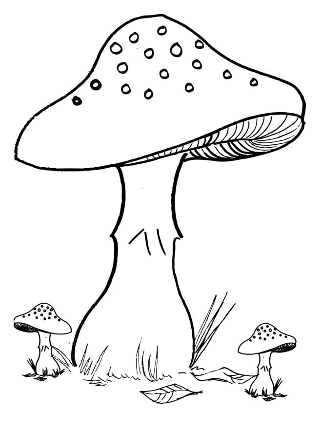 https://raskrasil.com/wp-content/uploads/Raskrasil.com-Coloring-Pages-Mushrooms-89.jpg