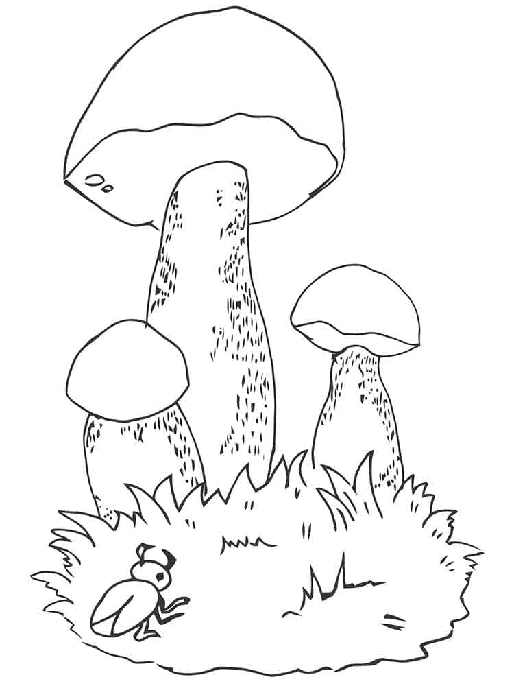 Raskrasil.com-Coloring-Pages-Mushrooms-90