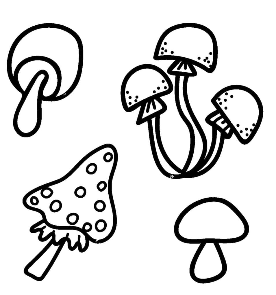 Raskrasil.com-Coloring-Pages-Mushrooms-92