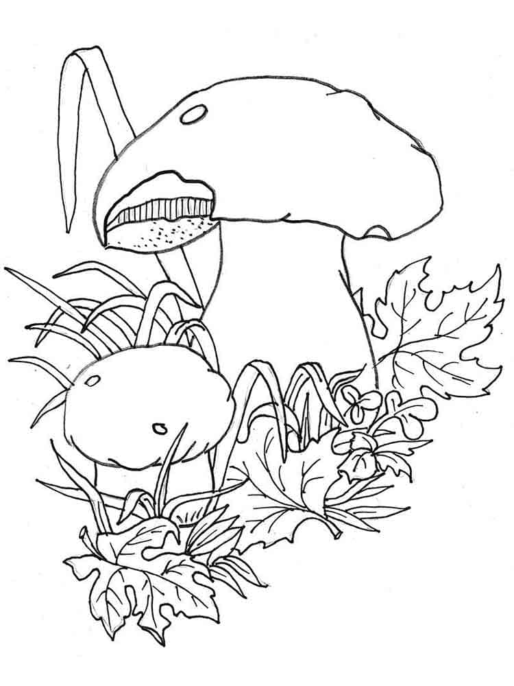Raskrasil.com-Coloring-Pages-Mushrooms-94