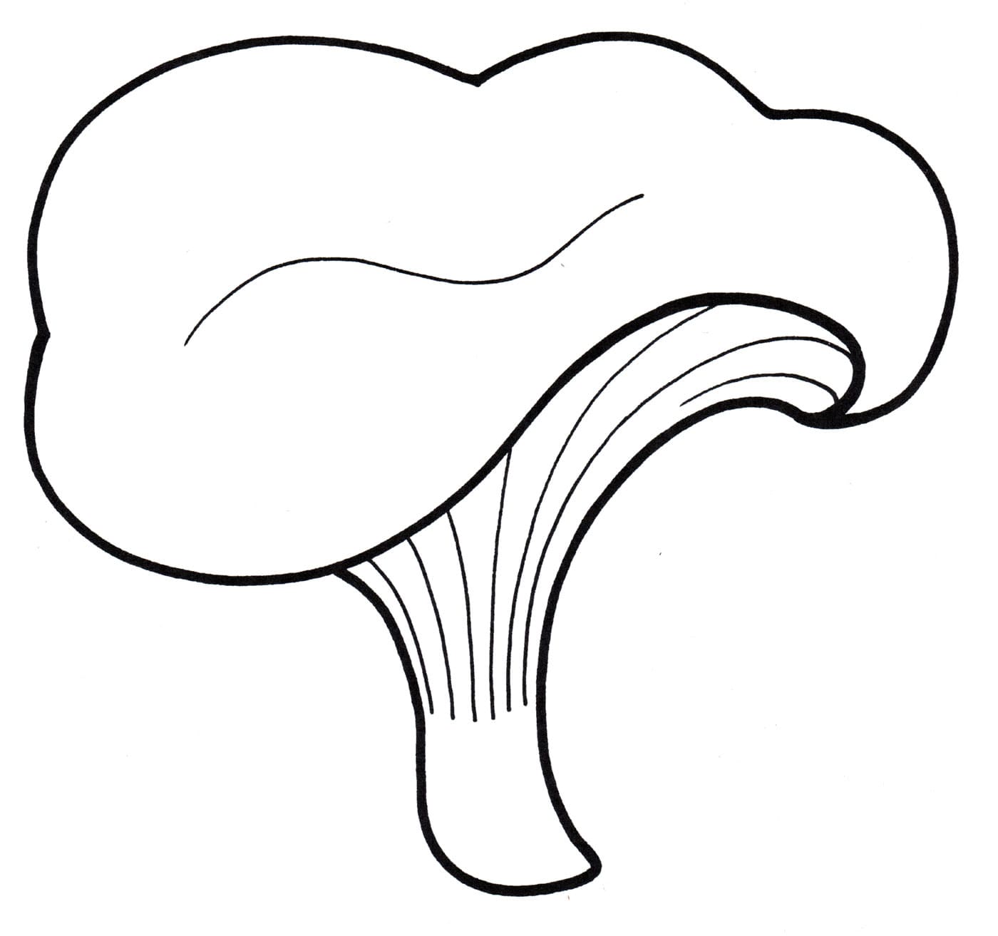Raskrasil.com-Coloring-Pages-Mushrooms-95