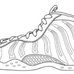 Raskrasil.com-Coloring-Pages-Nike-3