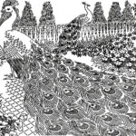 Raskrasil.com-Coloring-Pages-Peacock-1
