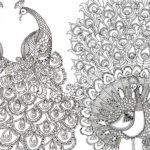 Raskrasil.com-Coloring-Pages-Peacock-10