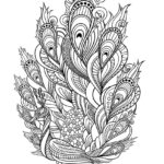 Raskrasil.com-Coloring-Pages-Peacock-104
