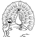 Raskrasil.com-Coloring-Pages-Peacock-106
