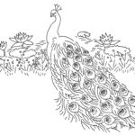Raskrasil.com-Coloring-Pages-Peacock-109