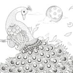 Raskrasil.com-Coloring-Pages-Peacock-111