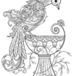 Raskrasil.com-Coloring-Pages-Peacock-114