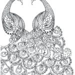 Raskrasil.com-Coloring-Pages-Peacock-14