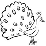 Raskrasil.com-Coloring-Pages-Peacock-17