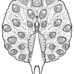 Raskrasil.com-Coloring-Pages-Peacock-18