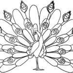 Raskrasil.com-Coloring-Pages-Peacock-20