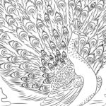 Raskrasil.com-Coloring-Pages-Peacock-24
