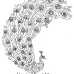 Raskrasil.com-Coloring-Pages-Peacock-35
