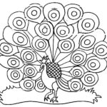 Raskrasil.com-Coloring-Pages-Peacock-39