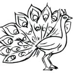 Raskrasil.com-Coloring-Pages-Peacock-43