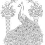 Raskrasil.com-Coloring-Pages-Peacock-46