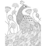 Raskrasil.com-Coloring-Pages-Peacock-47