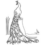 Raskrasil.com-Coloring-Pages-Peacock-50