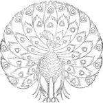Raskrasil.com-Coloring-Pages-Peacock-60