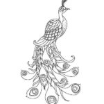 Raskrasil.com-Coloring-Pages-Peacock-64