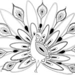 Raskrasil.com-Coloring-Pages-Peacock-65