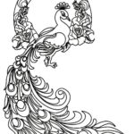 Raskrasil.com-Coloring-Pages-Peacock-7