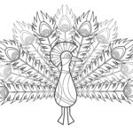 Raskrasil.com-Coloring-Pages-Peacock-70