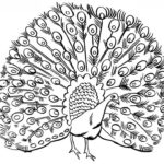 Previous Attachment