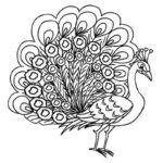 Raskrasil.com-Coloring-Pages-Peacock-76