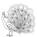 Raskrasil.com-Coloring-Pages-Peacock-8