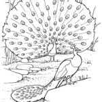 Previous Attachment