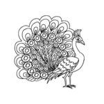 Raskrasil.com-Coloring-Pages-Peacock-86