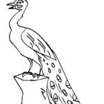 Raskrasil.com-Coloring-Pages-Peacock-87