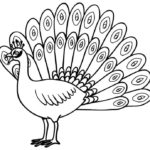 Raskrasil.com-Coloring-Pages-Peacock-9