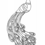 Raskrasil.com-Coloring-Pages-Peacock-90