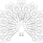 Raskrasil.com-Coloring-Pages-Peacock-91