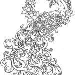 Raskrasil.com-Coloring-Pages-Peacock-94
