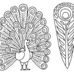 Raskrasil.com-Coloring-Pages-Peacock-95
