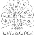 Raskrasil.com-Coloring-Pages-Peacock-97