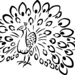 Raskrasil.com-Coloring-Pages-Peacock-99