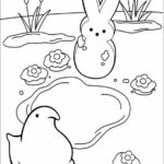 Raskrasil.com-Coloring-Pages-Peeps-4