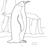 Raskrasil.com-Coloring-Pages-Penguin-110