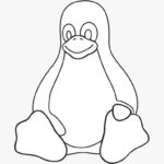 Raskrasil.com-Coloring-Pages-Penguin-111