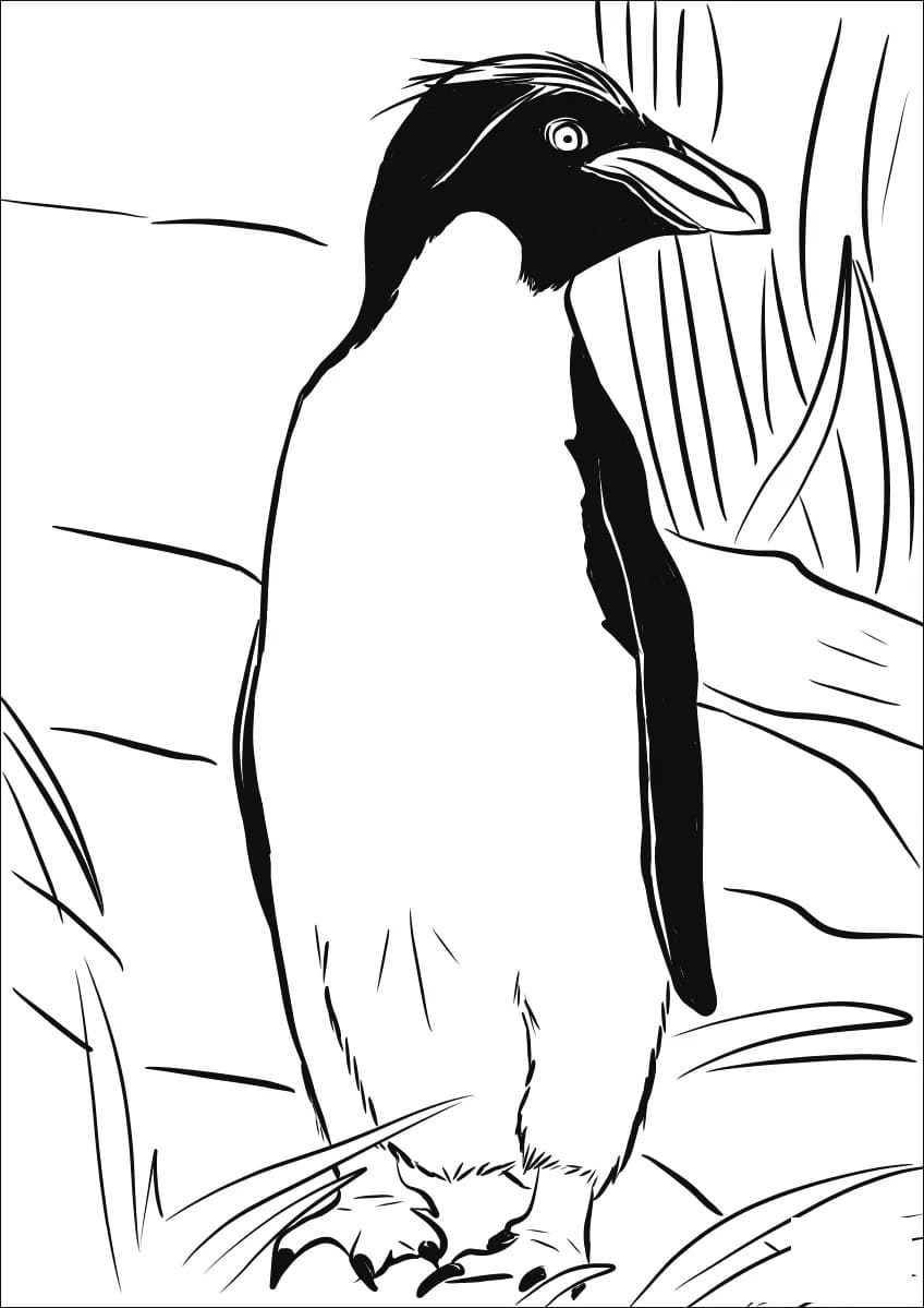 Raskrasil.com-Coloring-Pages-Penguin-112