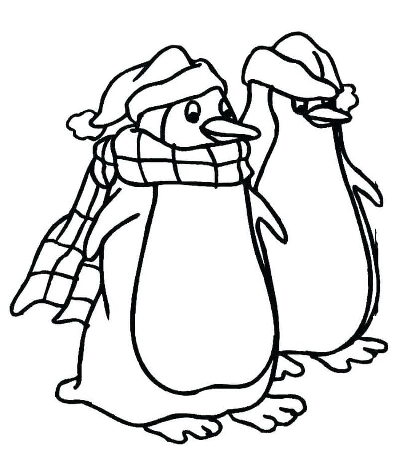 Raskrasil.com-Coloring-Pages-Penguin-127