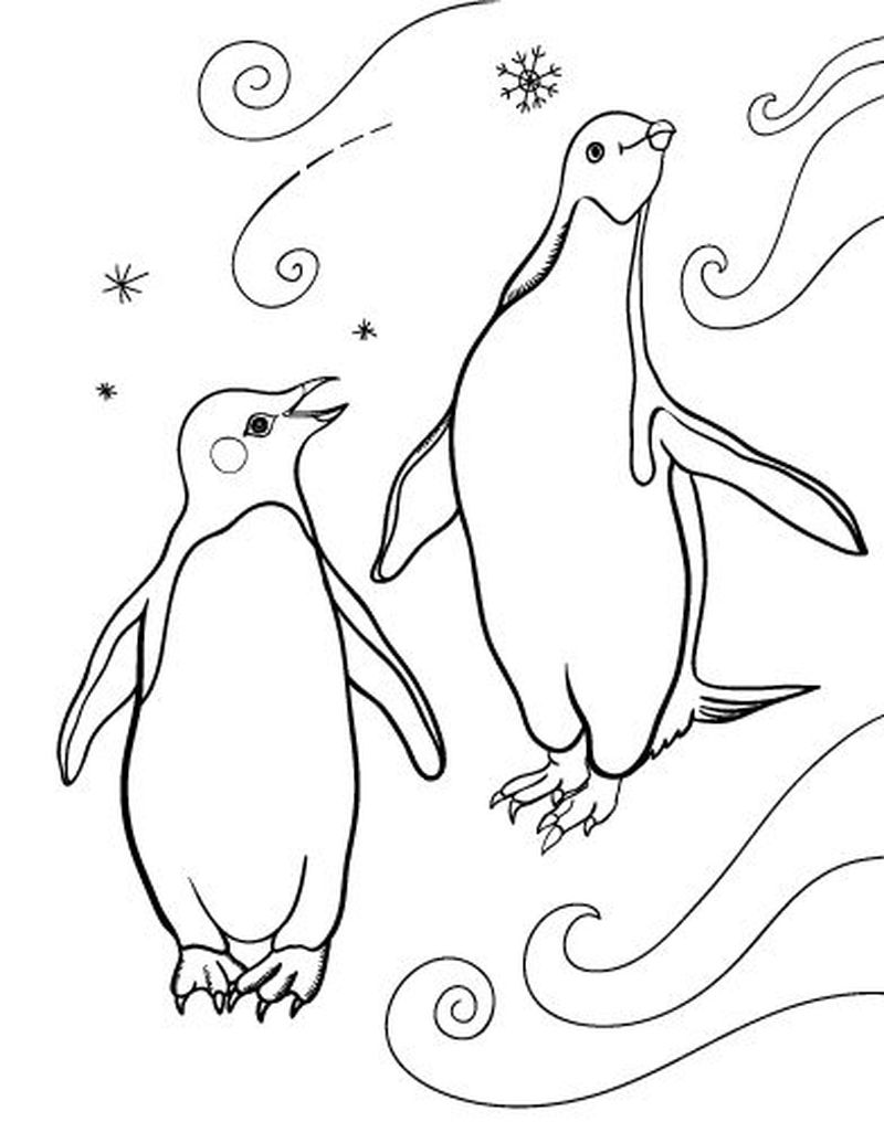 Raskrasil.com-Coloring-Pages-Penguin-129