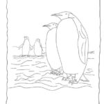 Raskrasil.com-Coloring-Pages-Penguin-131